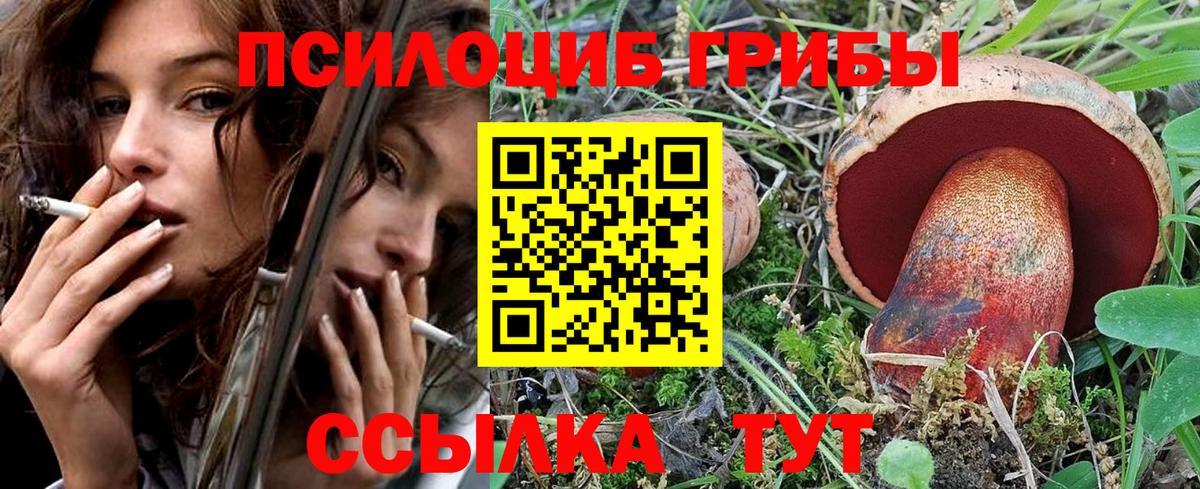 Галлюциногенные грибы мухоморы Приморско-Ахтарск
