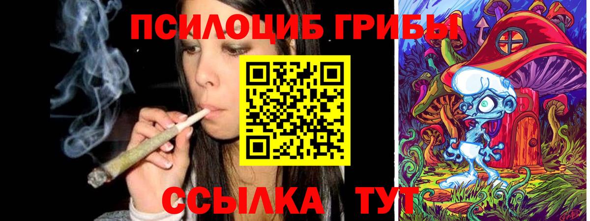 Галлюциногенные грибы ЛСД  Галлюциногенные грибы Cubensis  Приморско-Ахтарск  Вход с VPN 