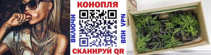 Канабис MAZAR  сколько стоит  Приморско-Ахтарск 